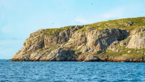 Trip to Marietas Island with Surf Mexico