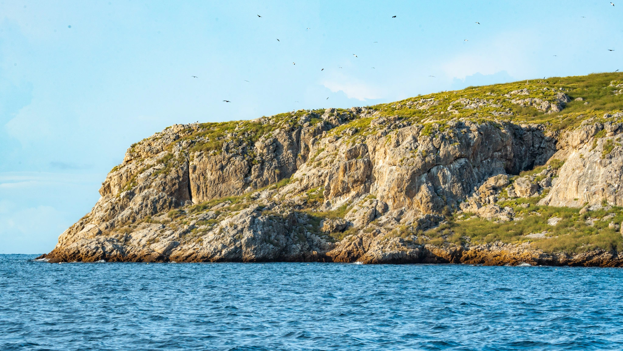 Trip to Marietas Island with Surf Mexico